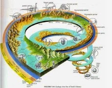 Proses Evolusi Bumi Beberapa Periode