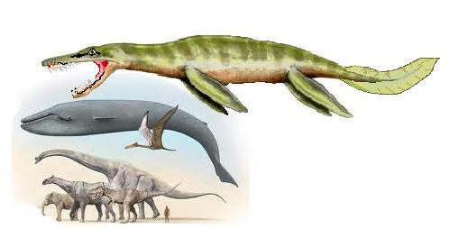 Gambar Dinosaurus Makhluk Purba  5 Air  Plesiosaurus 