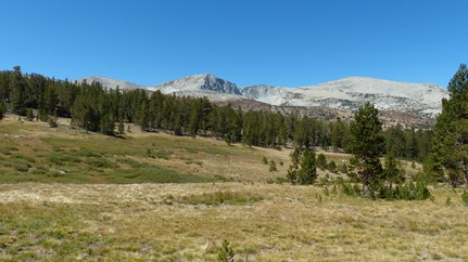 P1050251