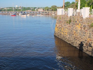 142dev-DSCF2261