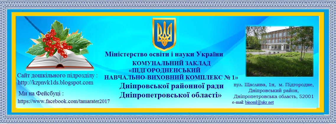 КЗ ПІДГОРОДНЕНСЬКИЙ НВК №1