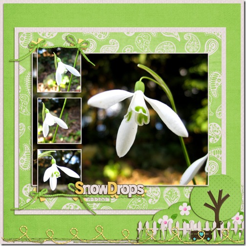 SnS-Snowdrops