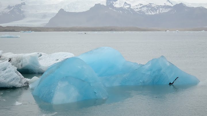 Blue ice at the iceland GLACIAL LAKE