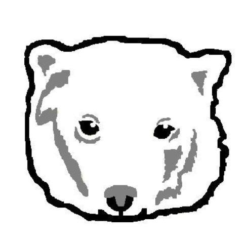 Polar Bear Face Paint
