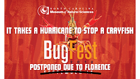 It takes a hurrican to stop a crayfish. Bugfest 2018 postponed due to Florence.