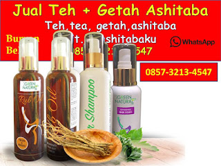 0857-3213-4547 Cara Mengkonsumsi Daun Ashitaba dan Getah Ashitaba