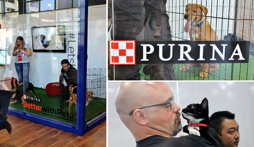 The annual Nestle Purina #BetterWithPets Summit in Brooklyn, NY aimed to inspire through nutritional reserach, a puppy kitten therapy booth, and philanthropic initiatives. AD