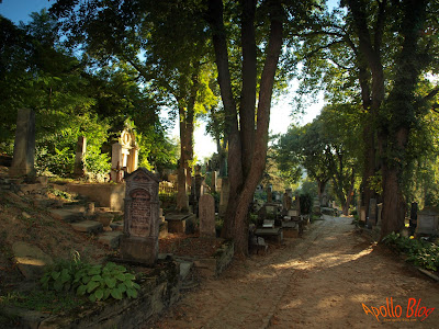 Cimitir Sighisoara