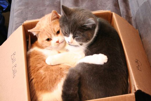 in a box.jpg