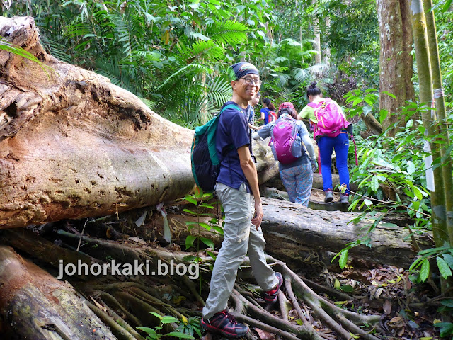 Broga Hill-Gunung-Tok-Wan-Malaysia-Adventure-Village