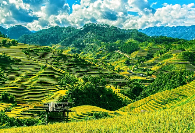 Mu Cang Chai: One of the World's most colorful places according to Cn Traveler 1