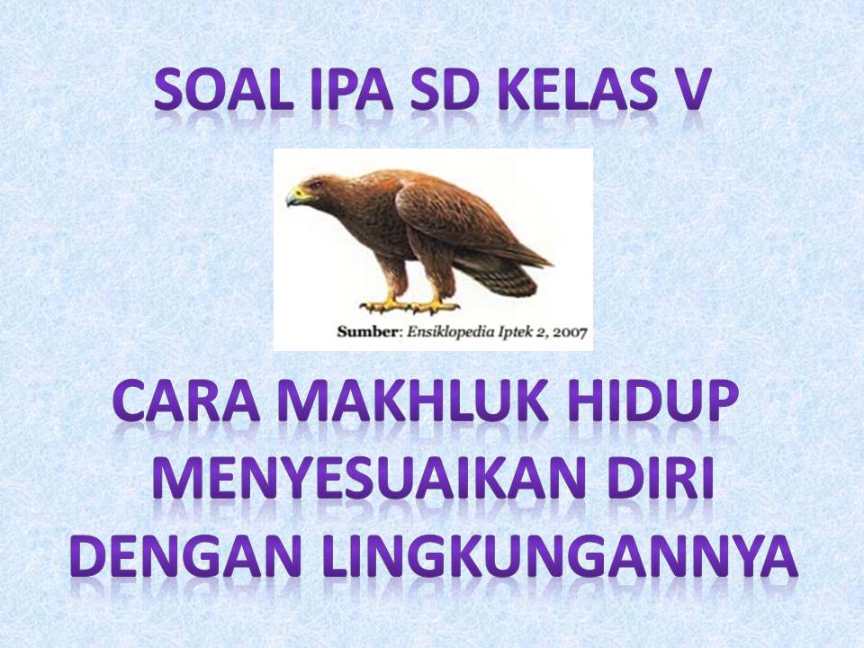  Soal  IPA  SD  Kelas  V Cara Makhluk Hidup  Menyesuaikan Diri 