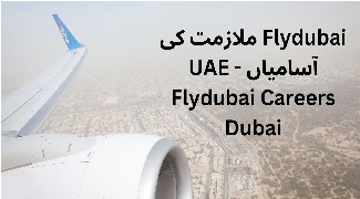 Flydubai Job Vacancies in UAE - Flydubai careers Cabin Crew