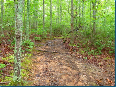 2012-07-20 009