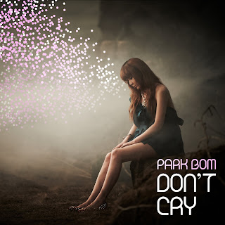 Park Bom – Don’t Cry Lyrics