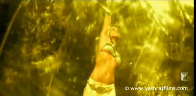 Rani Mukherjee Hot & Wet Bikini Pictures From Dil Bole Hadippa