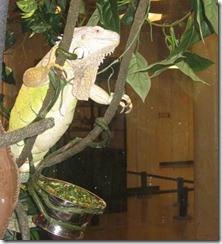 clip_image040