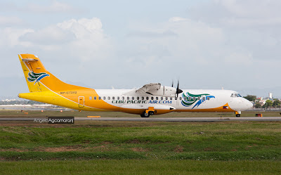 Cebu Pacific Aircraft Involved in Bird Strike at Naga