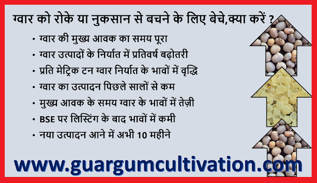 ग्वार को रोक कर के रखे  या फिर नुक्सान से बचने के लिए बेचे  ? , Guar gum production, guar gum export and current price trend, guar, guar gum,  κόμμι γκουάρ Guargummi 瓜爾豆膠, Гуаровая камедь, Гуаровая камедь (гуаровая семян) культивирование консультирование в России, Кизельгура (Cyamopsis tetragonoloba) консультации по выращивание семян в России, Смоли іонообмінні (відповідно насіння) вирощування консультування в Україні, מסטיק Guar (Guar הזרע) ייעוץ הטיפוח בישראל, الاستشارات زراعة Guar اللثة (Guar البذور), صمغ گوار (دانه گوار) کشت مشاوره ايران, ग्वार, ग्वार आज के भाव, ग्वार के भाव, ग्वार गम, ग्वार गम का निर्यात, ग्वार गम का उत्पादन, ग्वार भाव, ग्वार रेट, 瓜尔豆胶 (瓜尔豆种子) 栽培顾问在中国   Guar, guar gum, guar price, guar gum price, guar demand, guar gum demand, guar seed production, guar seed stock, guar seed consumption, guar gum cultivation, guar gum cultivation in india, Guar gum farming, guar gum export from india , guar seed export, guar gum export, guar gum farming, guar gum cultivation consultancy, today guar price, today guar gum price, ग्वार, ग्वार गम, ग्वार मांग, ग्वार गम निर्यात 2018-2019, ग्वार गम निर्यात -2019, ग्वार उत्पादन, ग्वार कीमत, ग्वार गम मांग, Guar Gum, Guar seed, guar , guar gum, guar gum export from india, guar gum export to USA, guar demand USA, guar future price, guar future demand, guar production 2019, guar gum demand 2019.