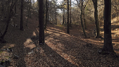 Laghi di Lamar da Cadine