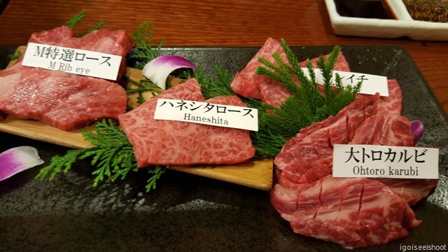 Matsusakagyu Yakiniku M 