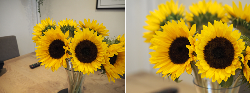 Sunflowers - Olympus pen kit lens vs 45mm lens