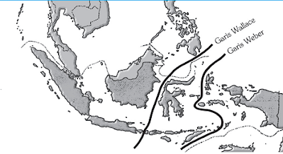 Garis Wallace yang memisahkan persebaran flora dan fauna di Indonesia