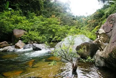 Hình ảnh vùng cao