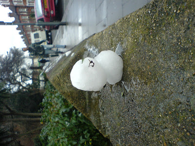 le petit snowman (sorry, unrotated photo)