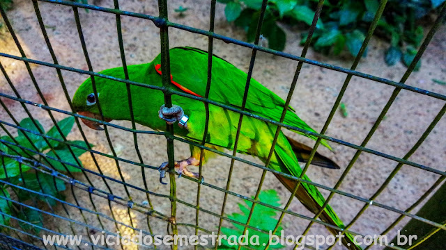 Foz do Iguaçu, PR