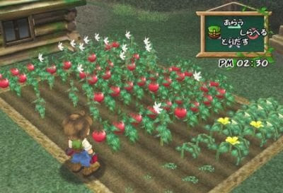 Free Download Games Harvest Moon A Wonderful Life Special Edition For PC 