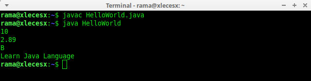java_variable_example
