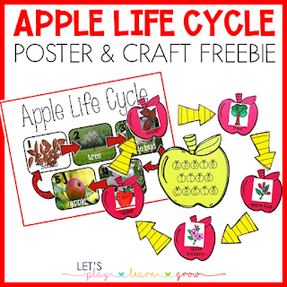 Apple Life Cycle Poster