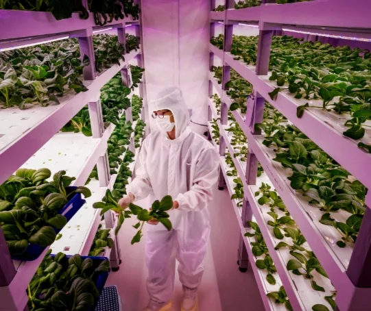 World Largest Vertical farming Projects