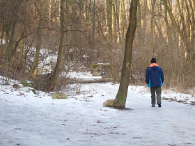 grzyby 2019, grzyby w zimie, grzyby w Lasku Wolskim, grzyby nadrzewnw, płomiennica zimowa, uszak bzowy, skórniki, trąbka zimowa, żagiew zimowa, kisielnica kędzirzawa, żylak promienisty, gmatwica chropowata, żagiew zimowa, trzęsak pomarańczowożółty, orzechówka mączysta, łycznik późny 