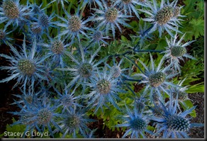 Blog_20100706_2