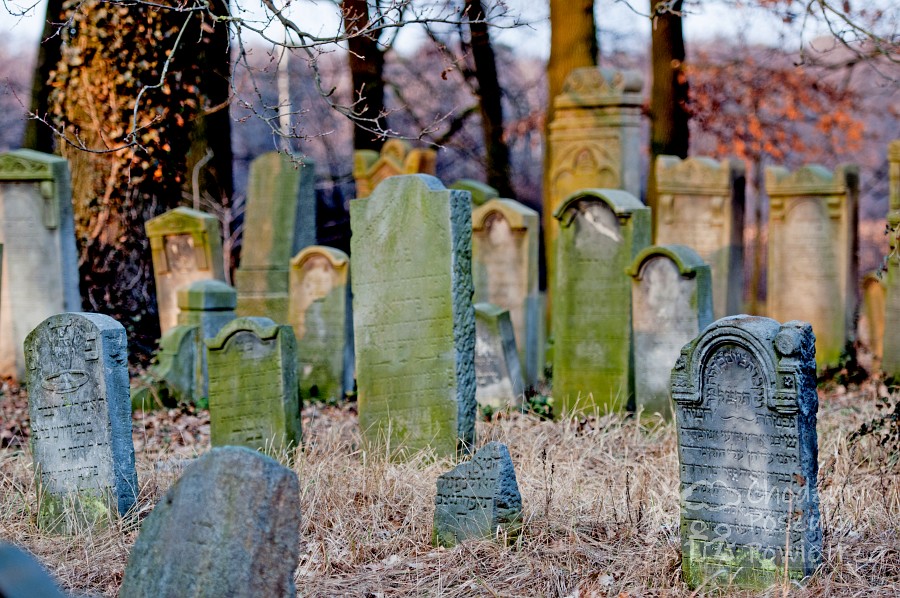 Koźmin Wielkopolski: największy zachowany cmentarz żydowski w Wielkopolsce (woj. wielkopolskie)