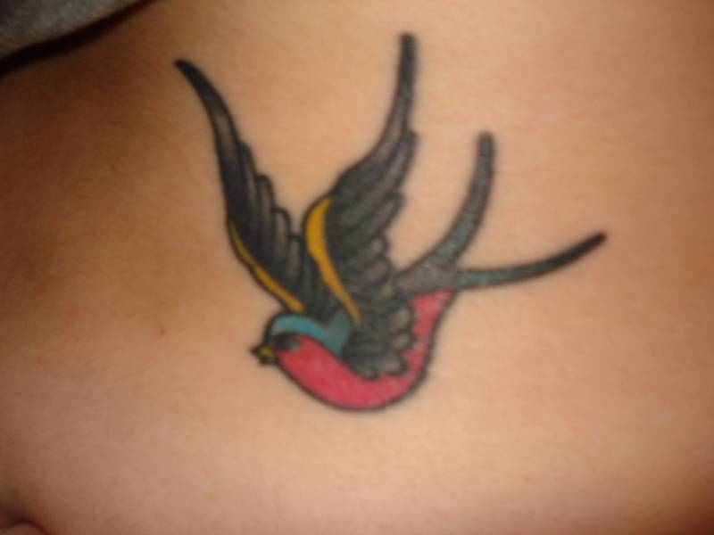 bird tattoo designs. Bird Tattoos Design