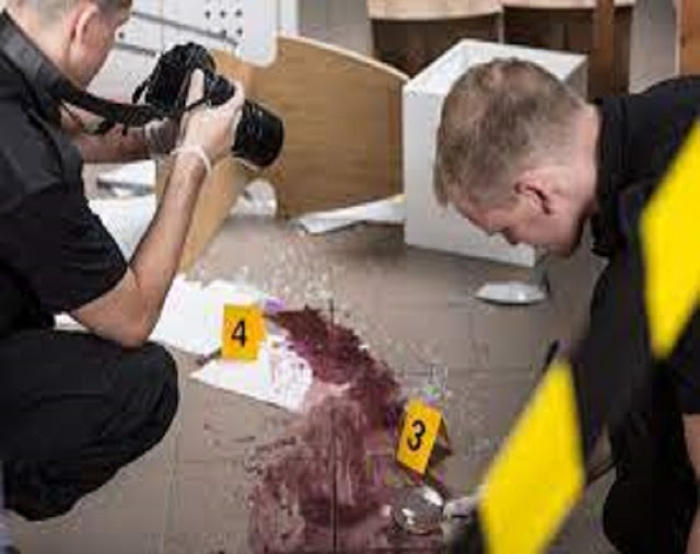 crime scene photographer