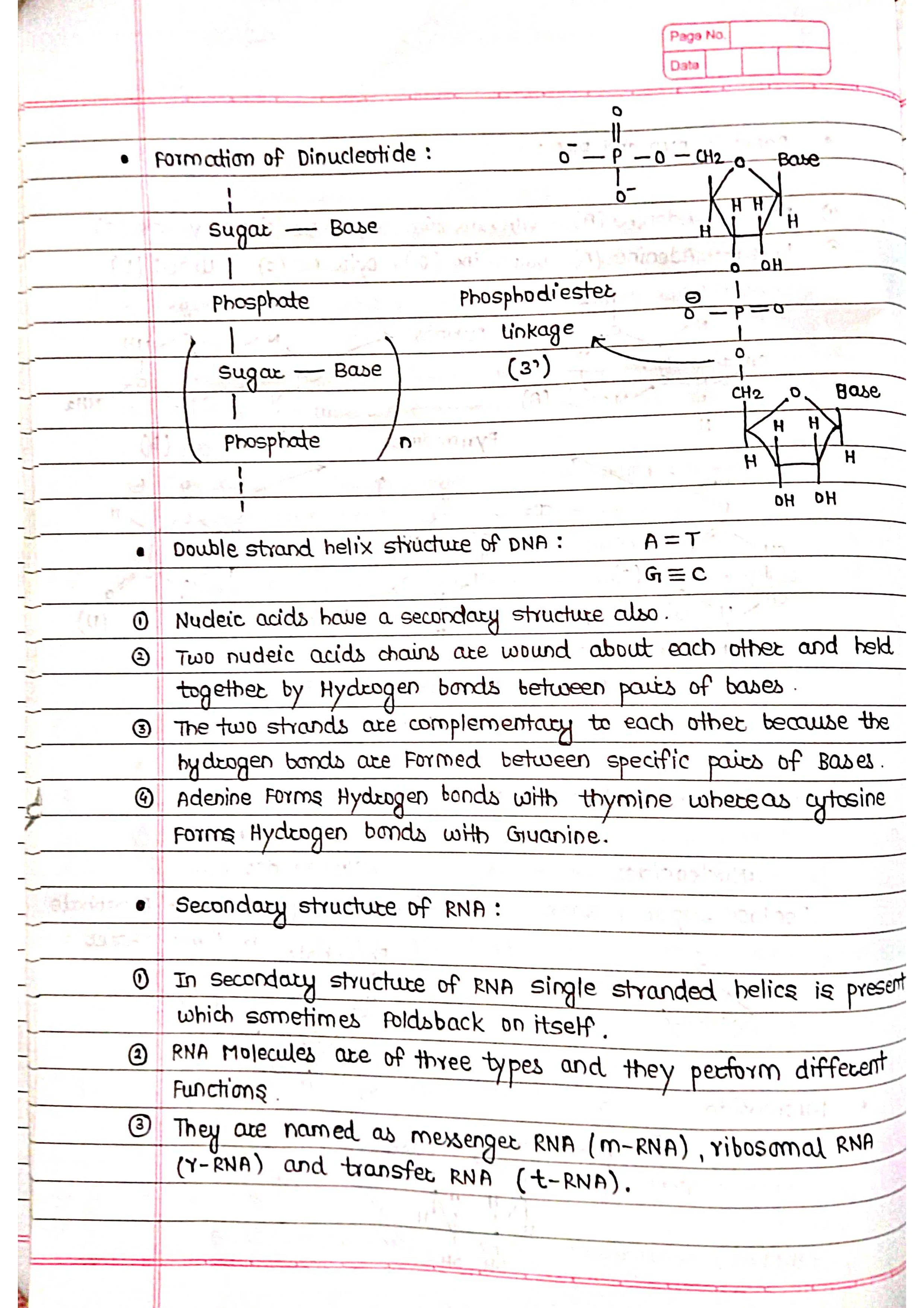 Handwritten Biomolecule - Short Notes 📚