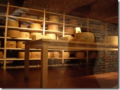 TorinoOne 005
