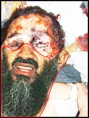 bin laden dead or alive. osama in laden dead or alive