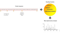 Protein Chromatography Methods And Protocols