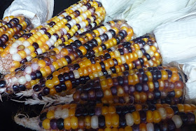 glass bead corn