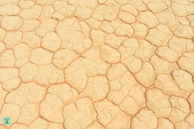 Deadvlei, desierto del Namib (Namibia)