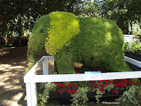 Elephant topiary, Festival of Flowers - Christchurch Botanic Gardens, New Zealand