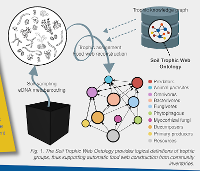 Figure 1 excerpt from soil ontologies poster, with network labels tunred black.