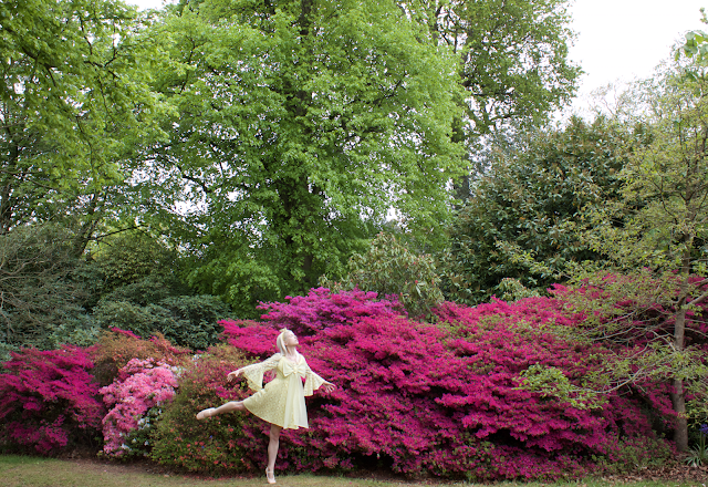 a faerie of the flowers