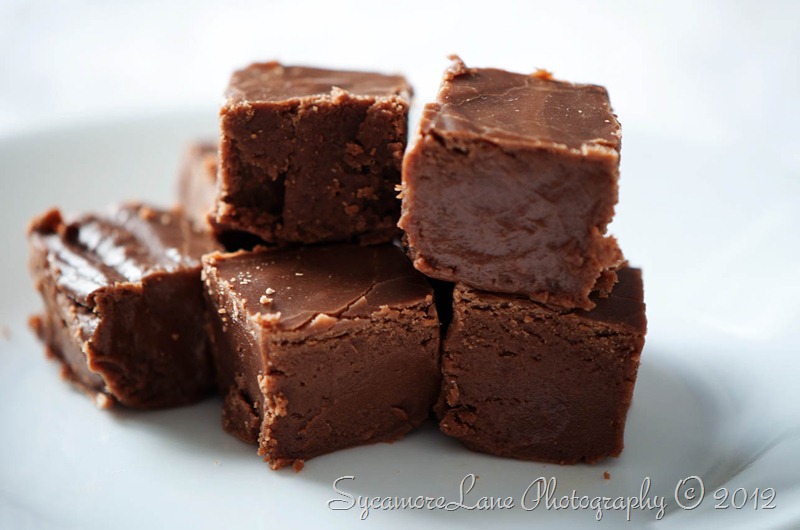 fudge- SycamoreLane Photography- w