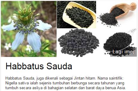 Kaka.k: Khasiat Minyak Habbatussauda : Black Seed, the 